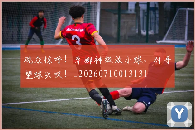 观众惊呼！李娜神级放小球，对手望球兴叹！_20260710013131