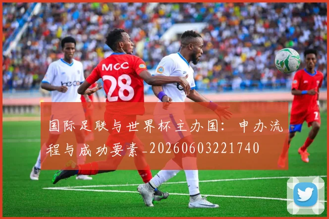 国际足联与世界杯主办国：申办流程与成功要素_20260603221740